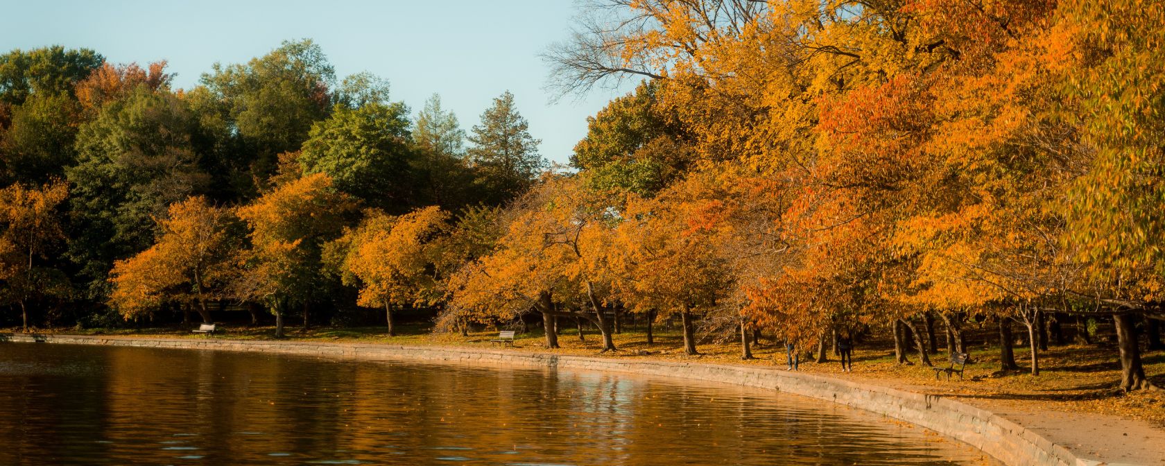 Tidal Basin Fall